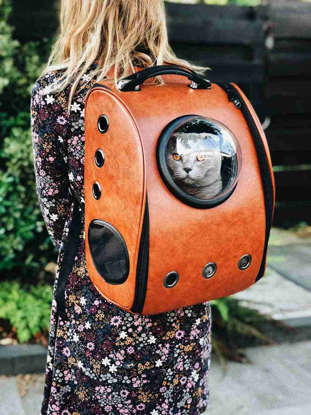 fat cat cat backpack review