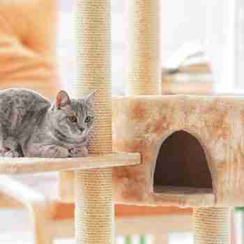 a grey cat sitting on a large cat tree