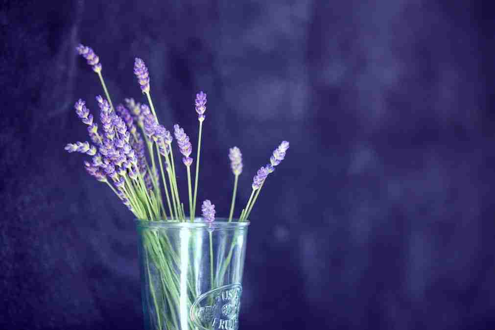 a glass with cut flowering lavender in it