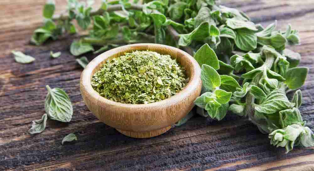 a bowl of freshly chopped green oregano in a wooden bowl on a kitchen table