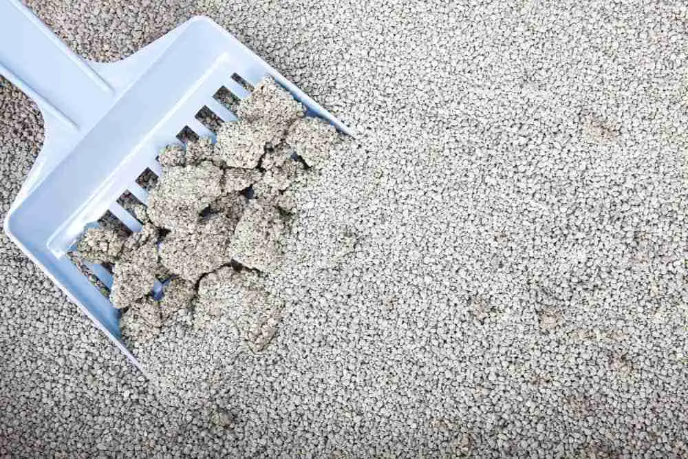 a close up overhead shot of clumping cat litter being picked with a plastic spade