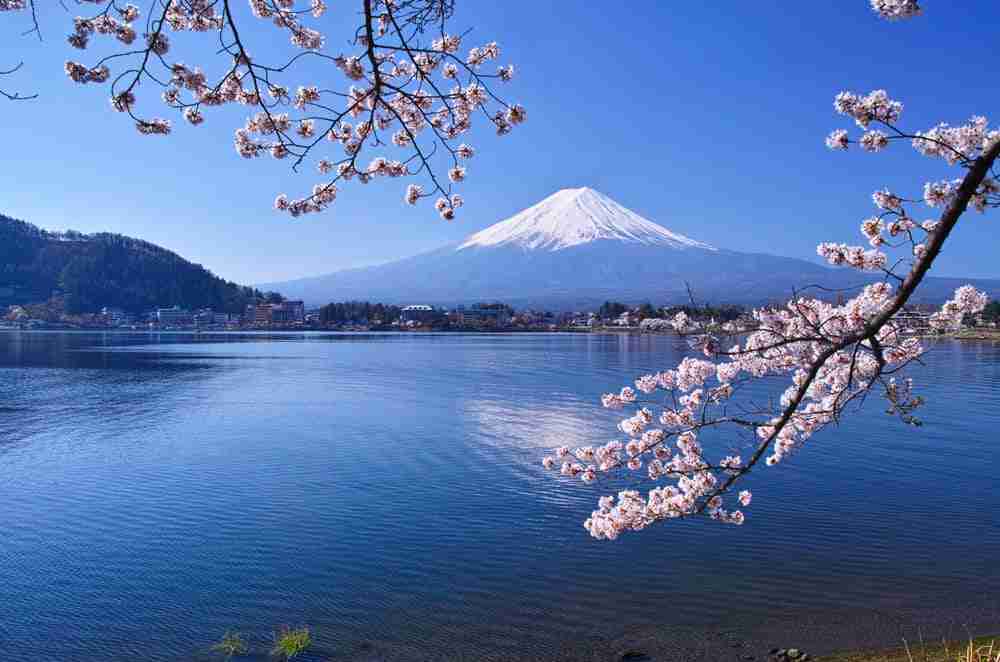 a landscape view across a lake with mount fuji in the background and cherry blossom in the foreground