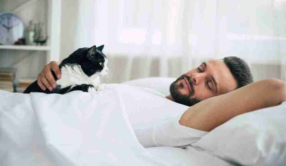 black and white cat lying on the chest of a sleeping bearded man watching him sleep.