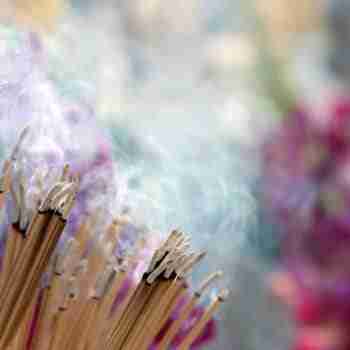 a close up of multiple burning incense sticks