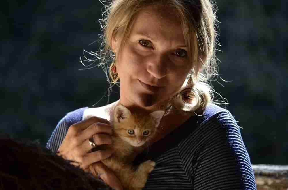 orange tabby kitten been clasped to woman's chest