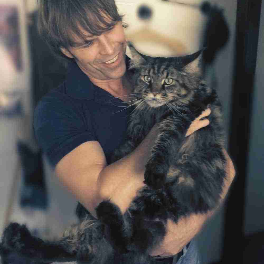 Man holding a large tabby maine coon in the crook of his arm